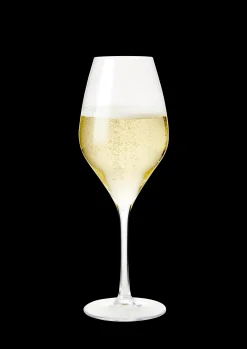 Rosendahl Premium Champagneglas 37 cl klar 2 stk. | Køb her